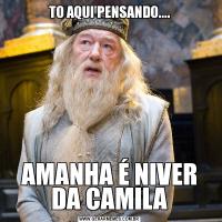 TO AQUI PENSANDO....AMANHA É NIVER DA CAMILA