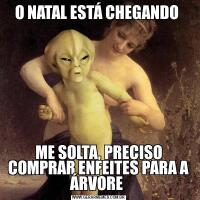 O NATAL ESTÁ CHEGANDO ME SOLTA, PRECISO COMPRAR ENFEITES PARA A ÁRVORE 