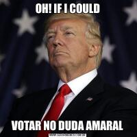 OH! IF I COULDVOTAR NO DUDA AMARAL