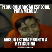 PEDIU COLORAÇÃO ESPECIAL PARA MEDULAMAS JÁ ESTAVA PRONTO A RETICULINA 