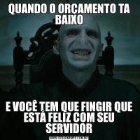 QUANDO O ORÇAMENTO TA BAIXOE VOCÊ TEM QUE FINGIR QUE ESTÁ FELIZ COM SEU SERVIDOR