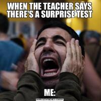 WHEN THE TEACHER SAYS THERE'S A SURPRISE TESTME: