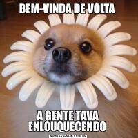 BEM-VINDA DE VOLTA A GENTE TAVA ENLOUQUECENDO 
