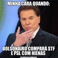 MINHA CARA QUANDO:BOLSONAIRO COMPARÁ STF E PSL COM HIENAS 