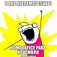 O QUE QUEREMOS (SUAP)HOME OFFICE PARA NOVEMBRO