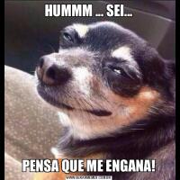 HUMMM ... SEI...PENSA QUE ME ENGANA!