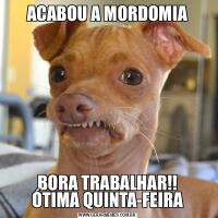 ACABOU A MORDOMIABORA TRABALHAR!!
ÓTIMA QUINTA-FEIRA