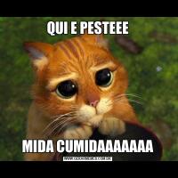 QUI E PESTEEEMIDA CUMIDAAAAAAA