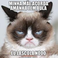 MINHA MÃE:ACORDA AMÃNHA TEM AULAEU:LASCOLA NOOO