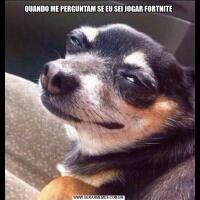 QUANDO ME PERGUNTAM SE EU SEI JOGAR FORTNITE
