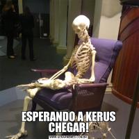 ESPERANDO A KERUS CHEGAR!