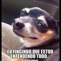 EU FINGINDO QUE ESTOU ENTENDENDO TUDO...