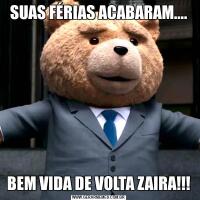 SUAS FÉRIAS ACABARAM....BEM VIDA DE VOLTA ZAIRA!!!