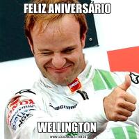 FELIZ ANIVERSÁRIO WELLINGTON 