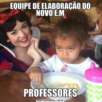 EQUIPE DE ELABORAÇÃO DO NOVO E.MPROFESSORES