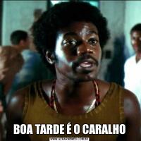 BOA TARDE É O CARALHO