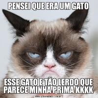 PENSEI QUE ERA UM GATOESSE GATO E TÃO LERDO QUE PARECE MINHA PRIMA KKKK
