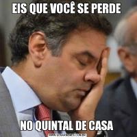 EIS QUE VOCÊ SE PERDE NO QUINTAL DE CASA 
