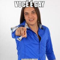 VOCÊ É GAY