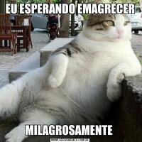 EU ESPERANDO EMAGRECERMILAGROSAMENTE 