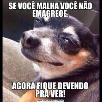 SE VOCÊ MALHA VOCÊ NÃO EMAGRECE.AGORA FIQUE DEVENDO PRA VER!