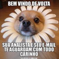 BEM VINDO DE VOLTASUA ANALISTA E SEU E-MAIL TE AGUARDAM COM TODO CARINHO