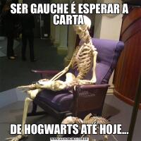 SER GAUCHE É ESPERAR A CARTA DE HOGWARTS ATÉ HOJE...