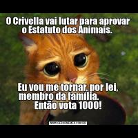 O Crivella vai lutar para aprovar o Estatuto dos Animais. Eu vou me tornar, por lei, membro da família.          
Então vota 1000!
