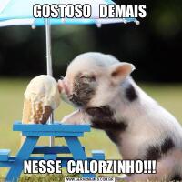 GOSTOSO   DEMAISNESSE  CALORZINHO!!!