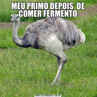MEU PRIMO DEPOIS  DE COMER FERMENTO