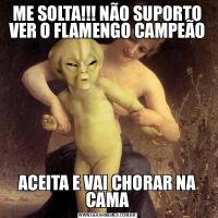 ME SOLTA!!! NÃO SUPORTO VER O FLAMENGO CAMPEÃOACEITA E VAI CHORAR NA CAMA