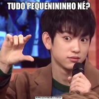 TUDO PEQUENININHO NÉ?