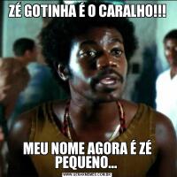 ZÉ GOTINHA É O CARALHO!!!MEU NOME AGORA É ZÉ PEQUENO... 