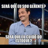 SERÁ QUE EU SOU GERENTE?SERÁ QUE EU CUIDO DO ESTOQUE?