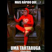 MAIS RÁPIDO QUEUMA TARTARUGA