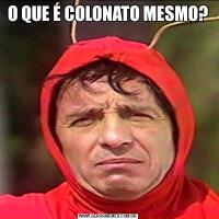 O QUE É COLONATO MESMO?