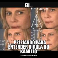 EU......PELEJANDO PARA ENTENDER A  AULA DO KAMILLO