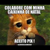 COLABORE COM MINHA CAIXINHA DE NATAL ACEITO PIX !
