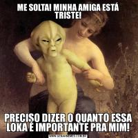 ME SOLTA! MINHA AMIGA ESTÁ TRISTE!PRECISO DIZER O QUANTO ESSA LOKA É IMPORTANTE PRA MIM!