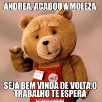 ANDREA, ACABOU A MOLEZASEJA BEM VINDA DE VOLTA,O TRABALHO TE ESPERA