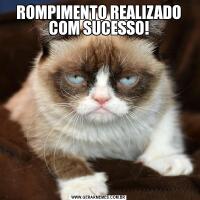 ROMPIMENTO REALIZADO COM SUCESSO!