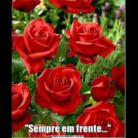 SEEEEEEEIVOCÊ QUER É CHAMAR ATENÇÃO