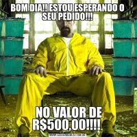 BOM DIA!! ESTOU ESPERANDO O SEU PEDIDO!!! NO VALOR DE R$500,00!!!! 