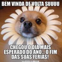 BEM VINDA DE VOLTA SUUUUCHEGOU O DIA MAIS ESPERADO DO ANO... O FIM DAS SUAS FERIAS! 