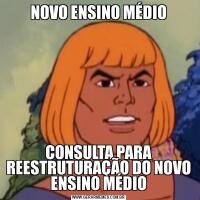 NOVO ENSINO MÉDIOCONSULTA PARA REESTRUTURAÇÃO DO NOVO ENSINO MÉDIO