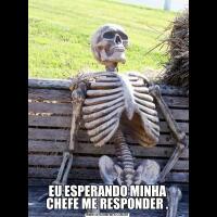 EU ESPERANDO MINHA CHEFE ME RESPONDER .