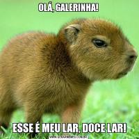 OLÁ, GALERINHA! ESSE É MEU LAR, DOCE LAR!