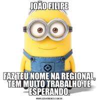 JOÃO FILIPEFAZ TEU NOME NA REGIONAL, TEM MUITO TRABALHO TE ESPERANDO.