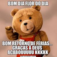 BOM DIA FLOR DO DIABOM RETORNO DE FÉRIAS...   GRAÇAS A DEUS   ACABOUUUUU KKKKK