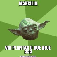 MARCILIAVAI PLANTAR O QUE HOJE ???